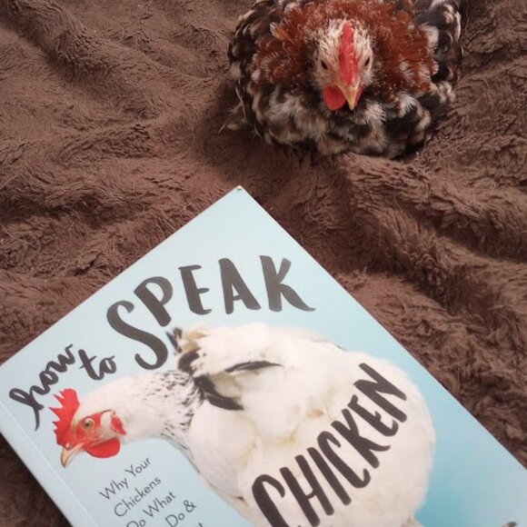 Meet your Posher, Diana - Picture 5 of 8